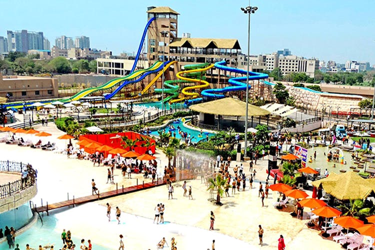 Sports facilities and amusement parks